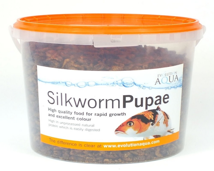 Evolution Aqua Silkworm Pupae - 5Lt